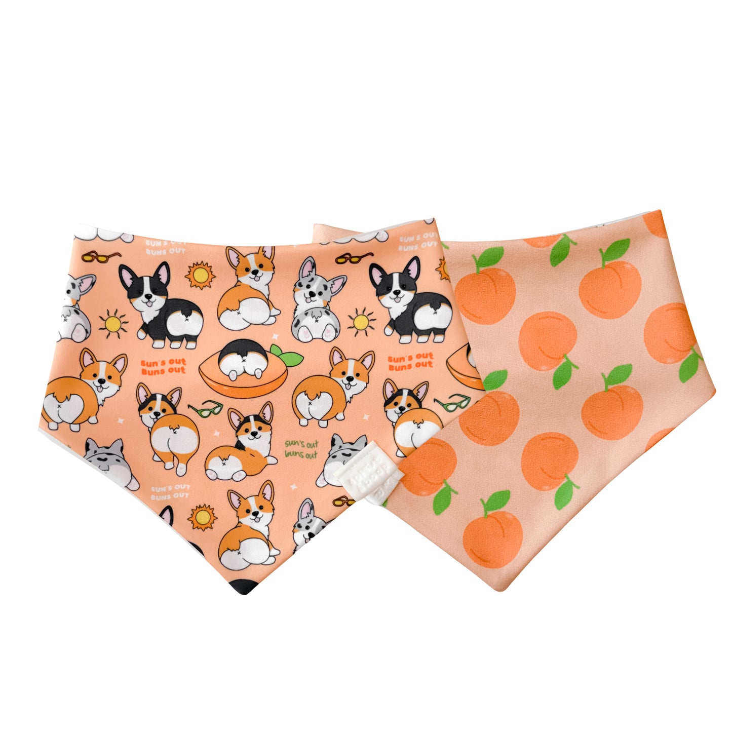 Suns out Buns out corgis