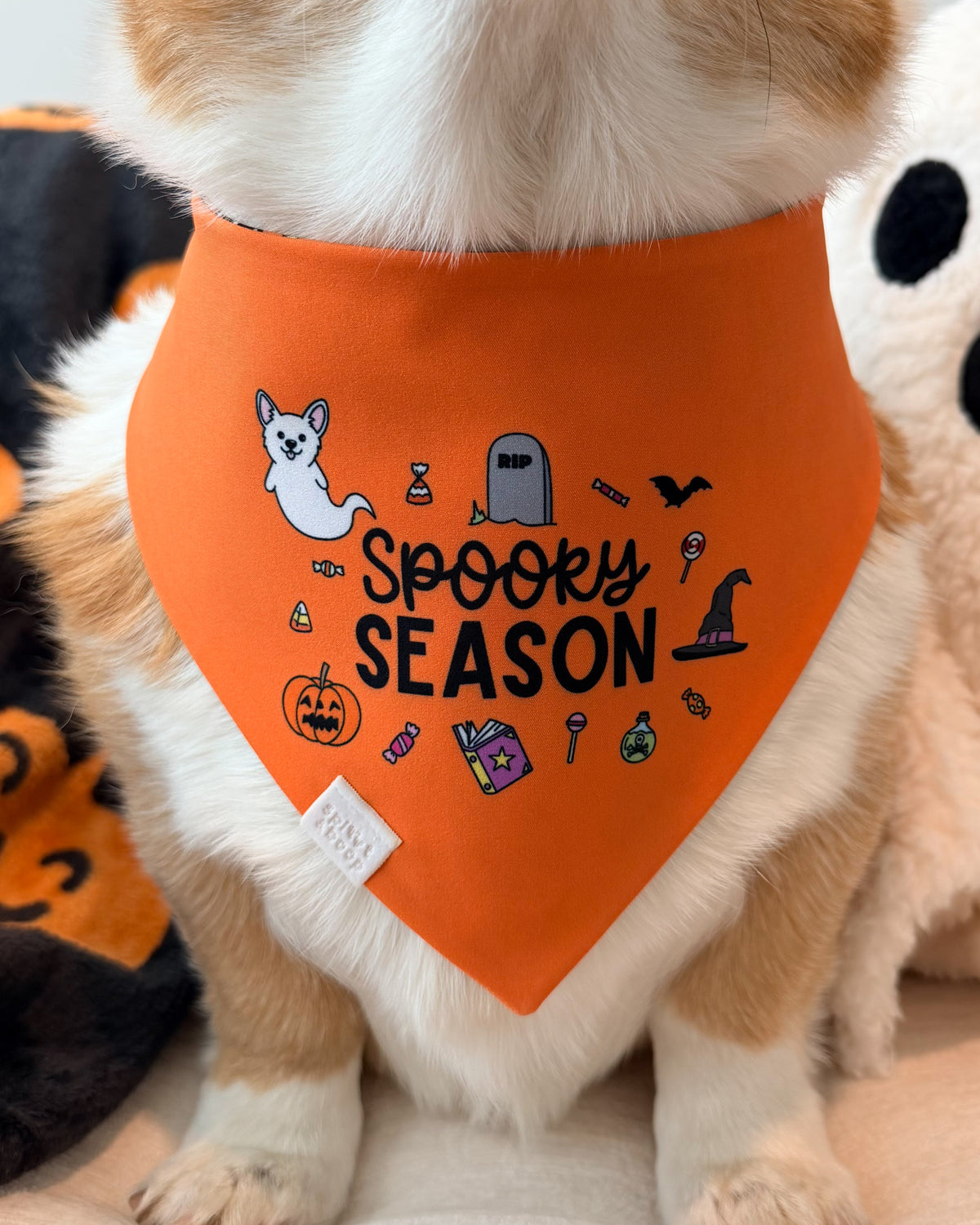 Spooky Scary Corgis