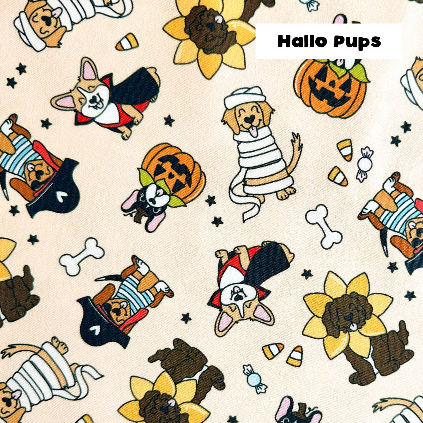 Seasonal bandanas