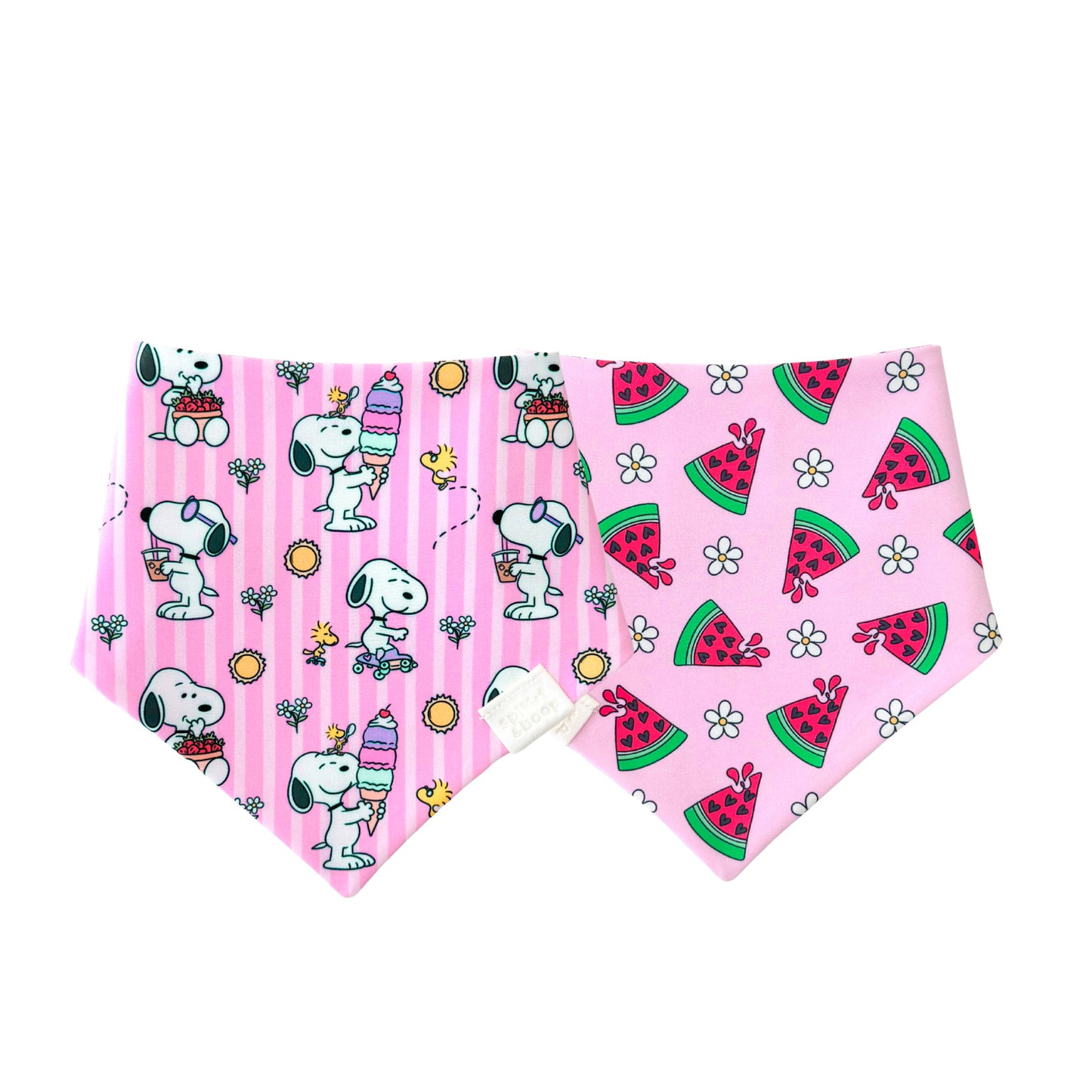 Snoopy’s Sweet Summer