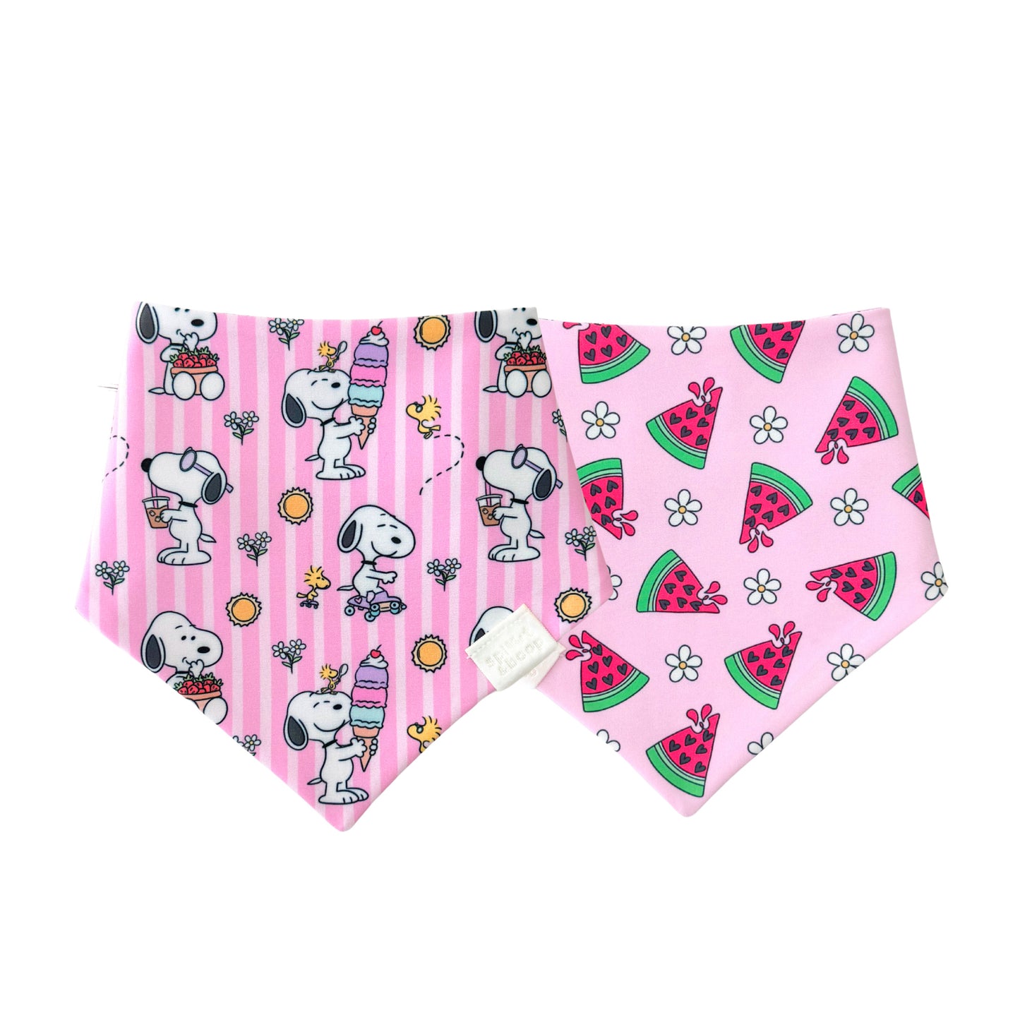 Snoopy’s Sweet Summer