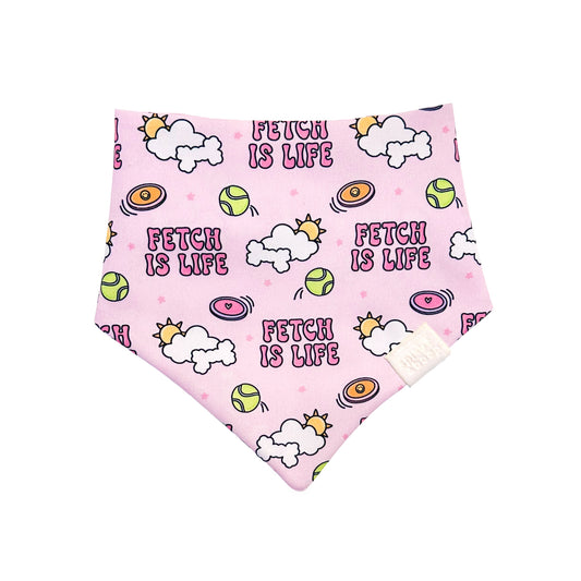 Fetch is Life (pink)