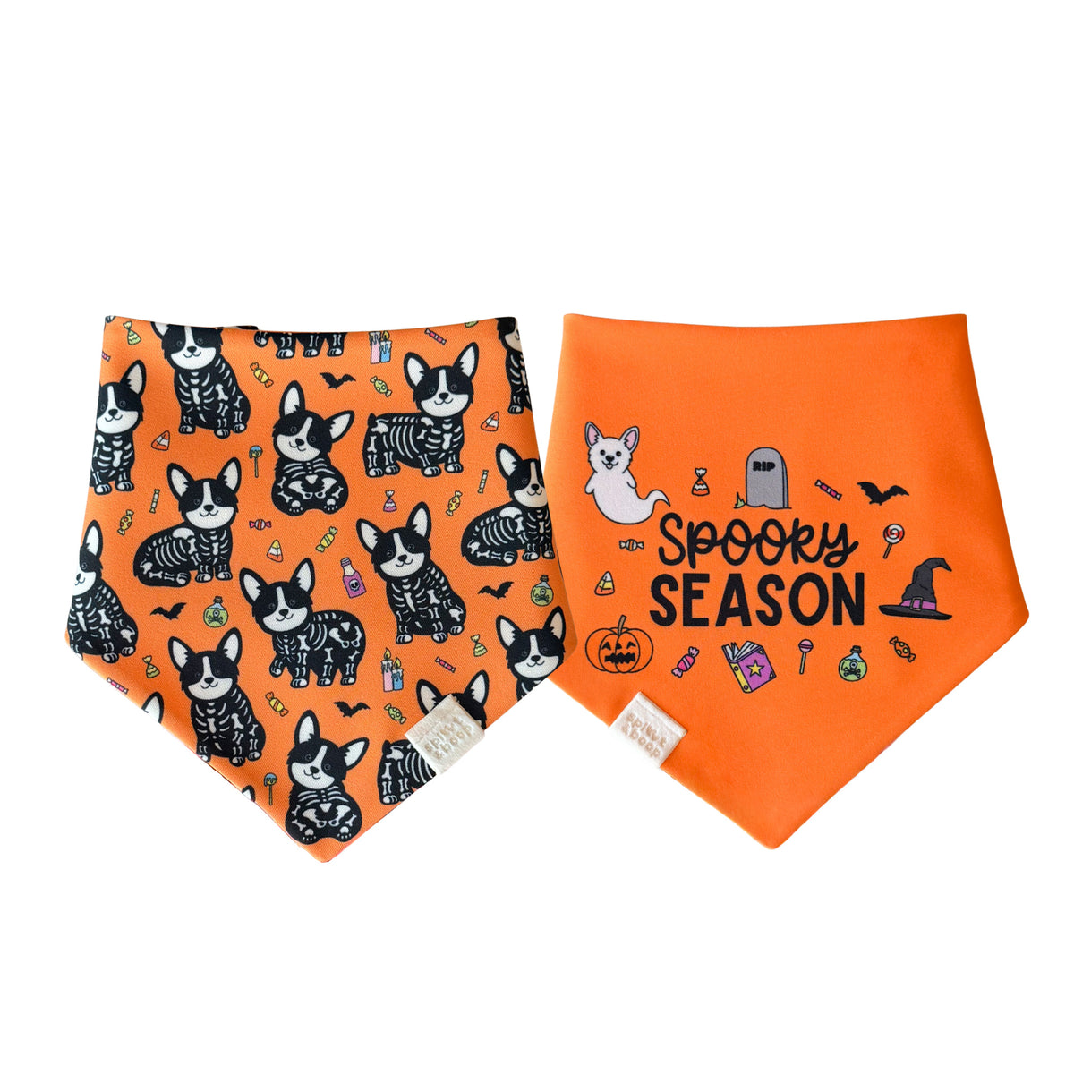 Spooky Scary Corgis