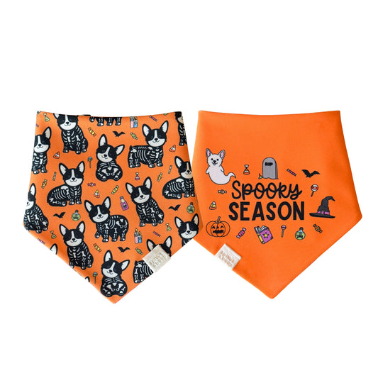 Spooky Scary Corgis