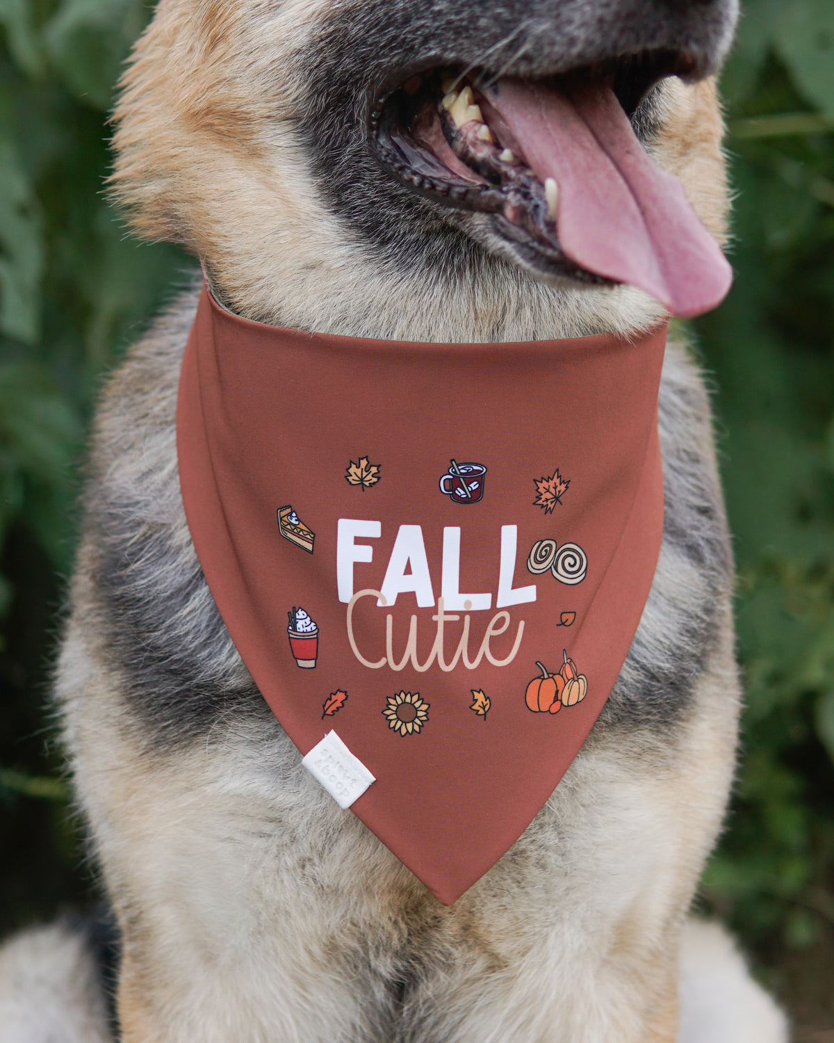 Fall Cutie