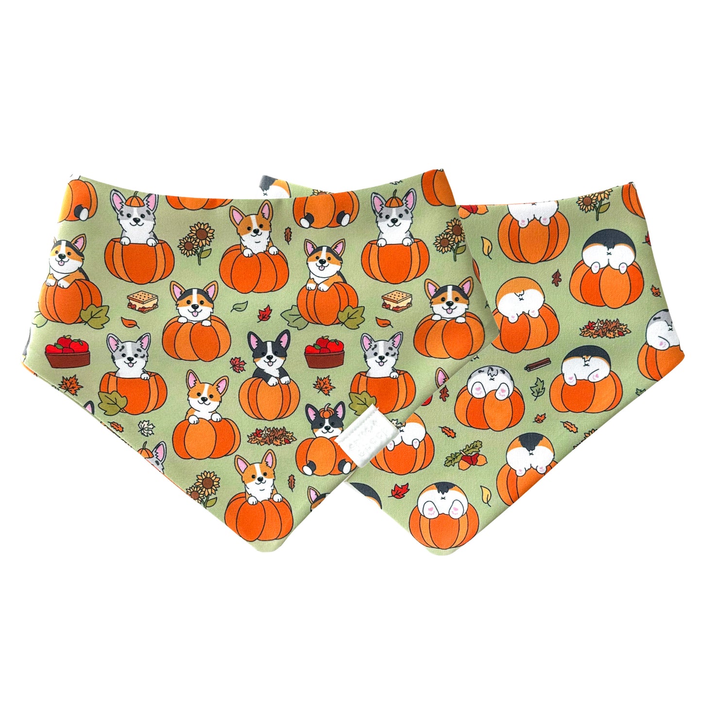 Pumpkin Corgs