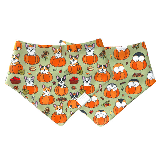 Pumpkin Corgs