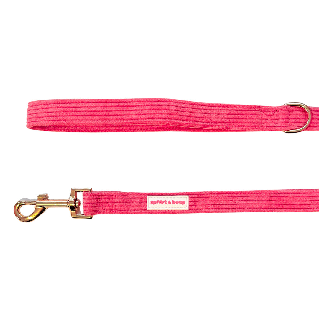 Hot Pink Dog Leash