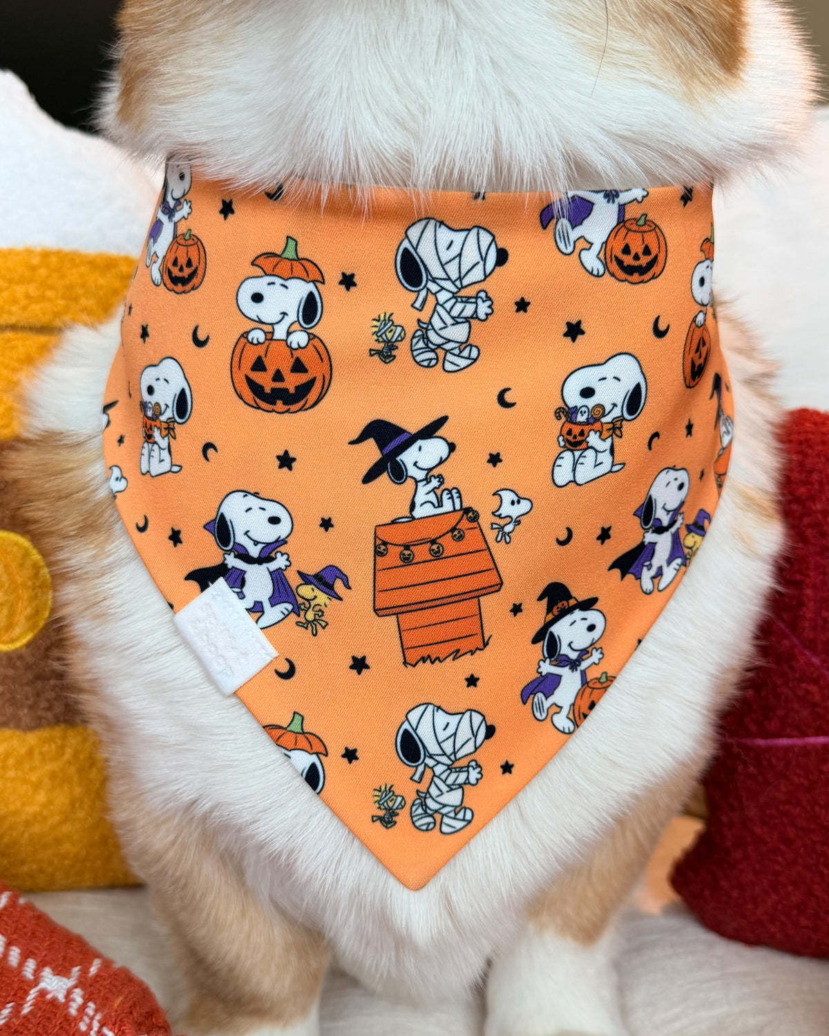Snoopy’s Falloween