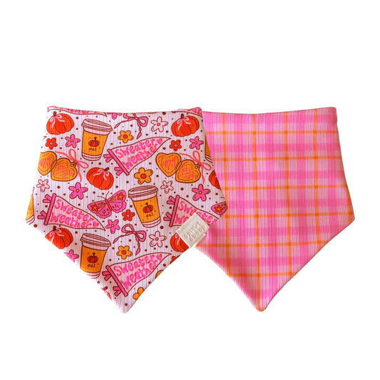 Cozy in Pink (cozy rib)