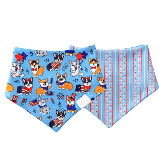 Fourth of July corgis