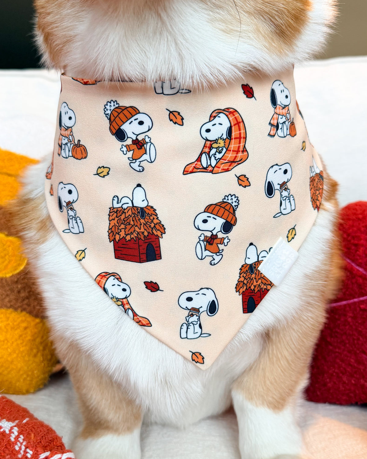 Snoopy’s Falloween