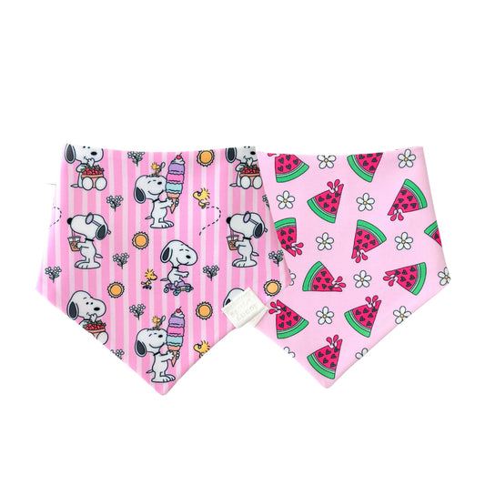 Snoopy’s Sweet Summer