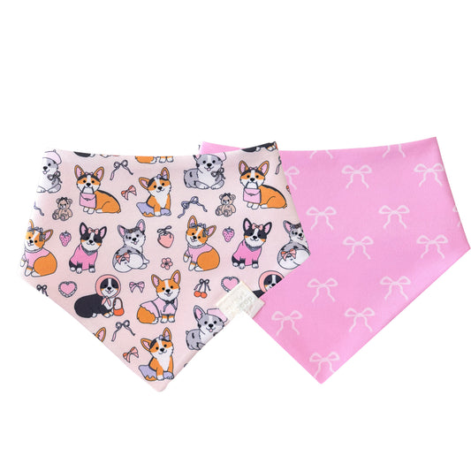 Coquette Corgis