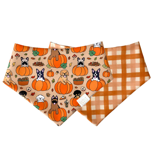 Pumpkin Pups