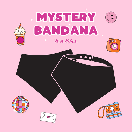 Mystery Bandana