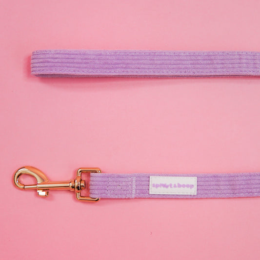 Lavender Haze Dog Leash