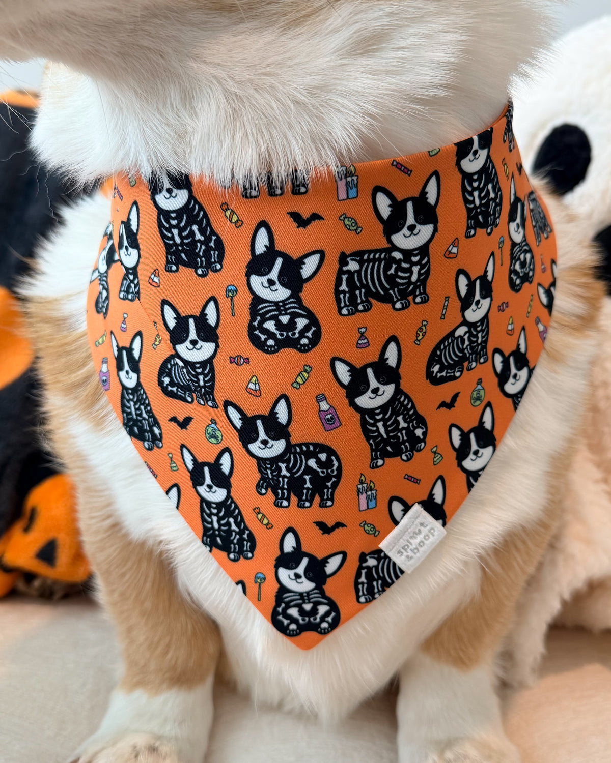 Spooky Scary Corgis