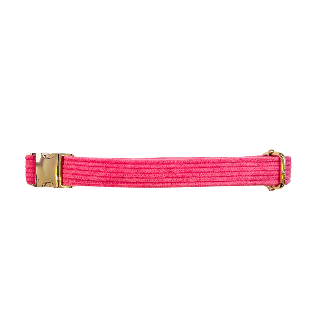 Hot Pink Collar