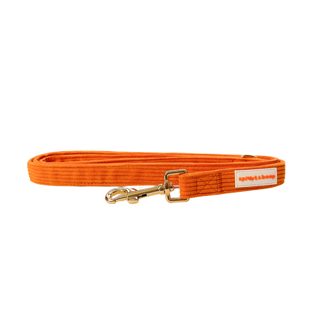 Tennessee Orange Dog Leash