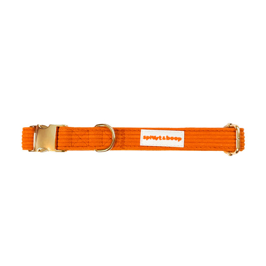 Tennessee Orange Collar