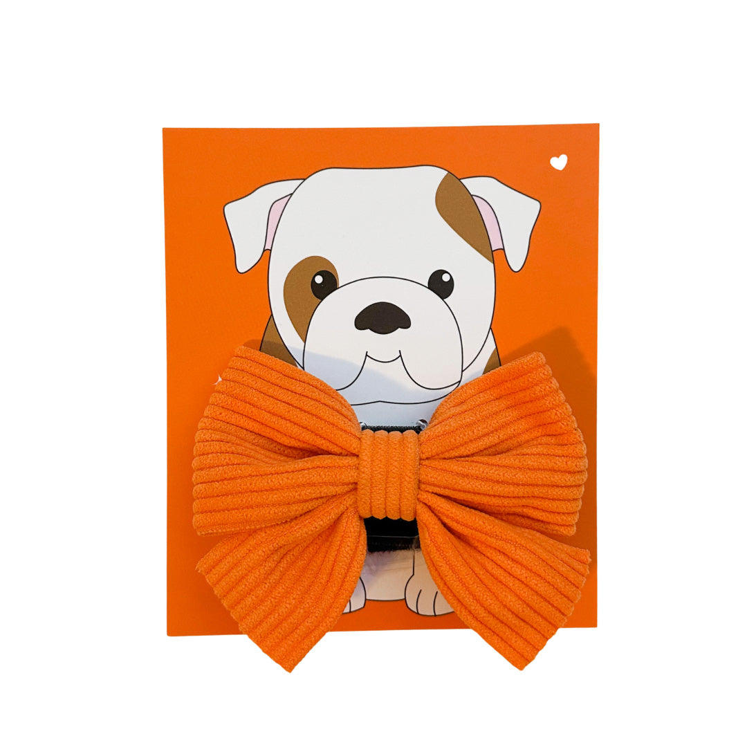 Tennessee Orange Dog Bow