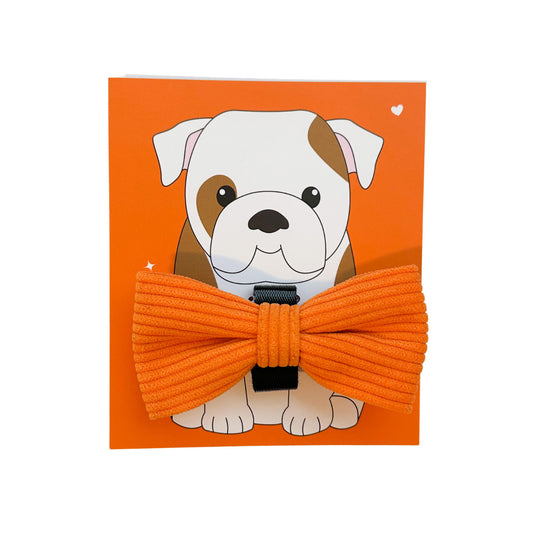 Tennessee Orange Dog Bow